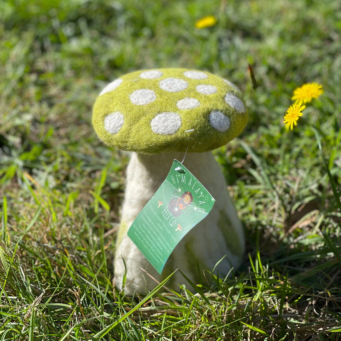 Toadstool large-mossy