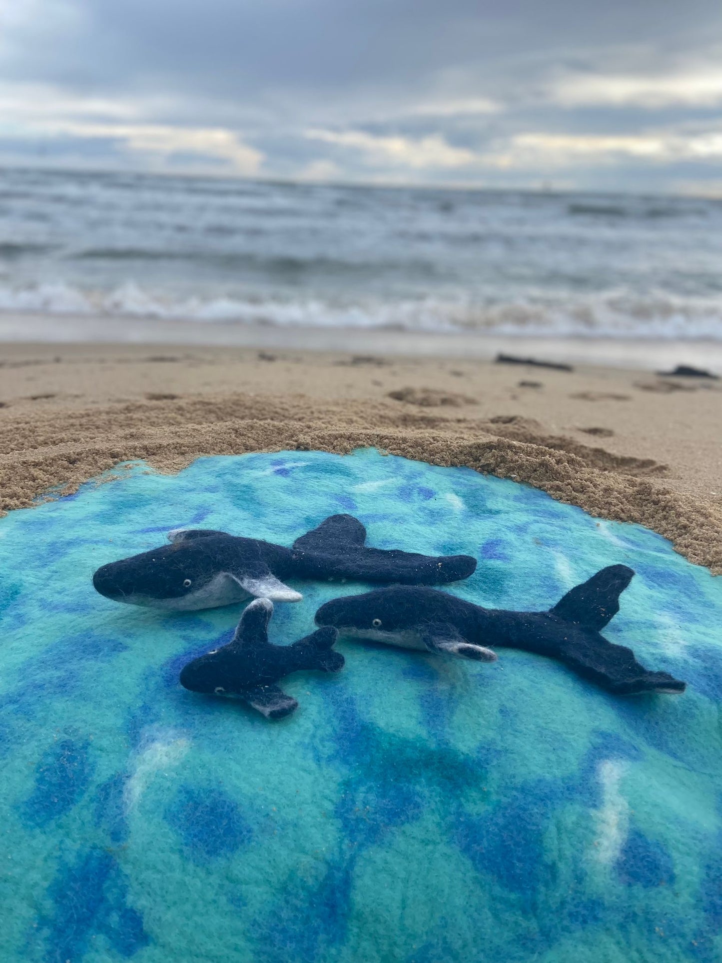 Humpback pod of 3