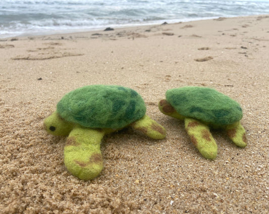 Sea Turtle