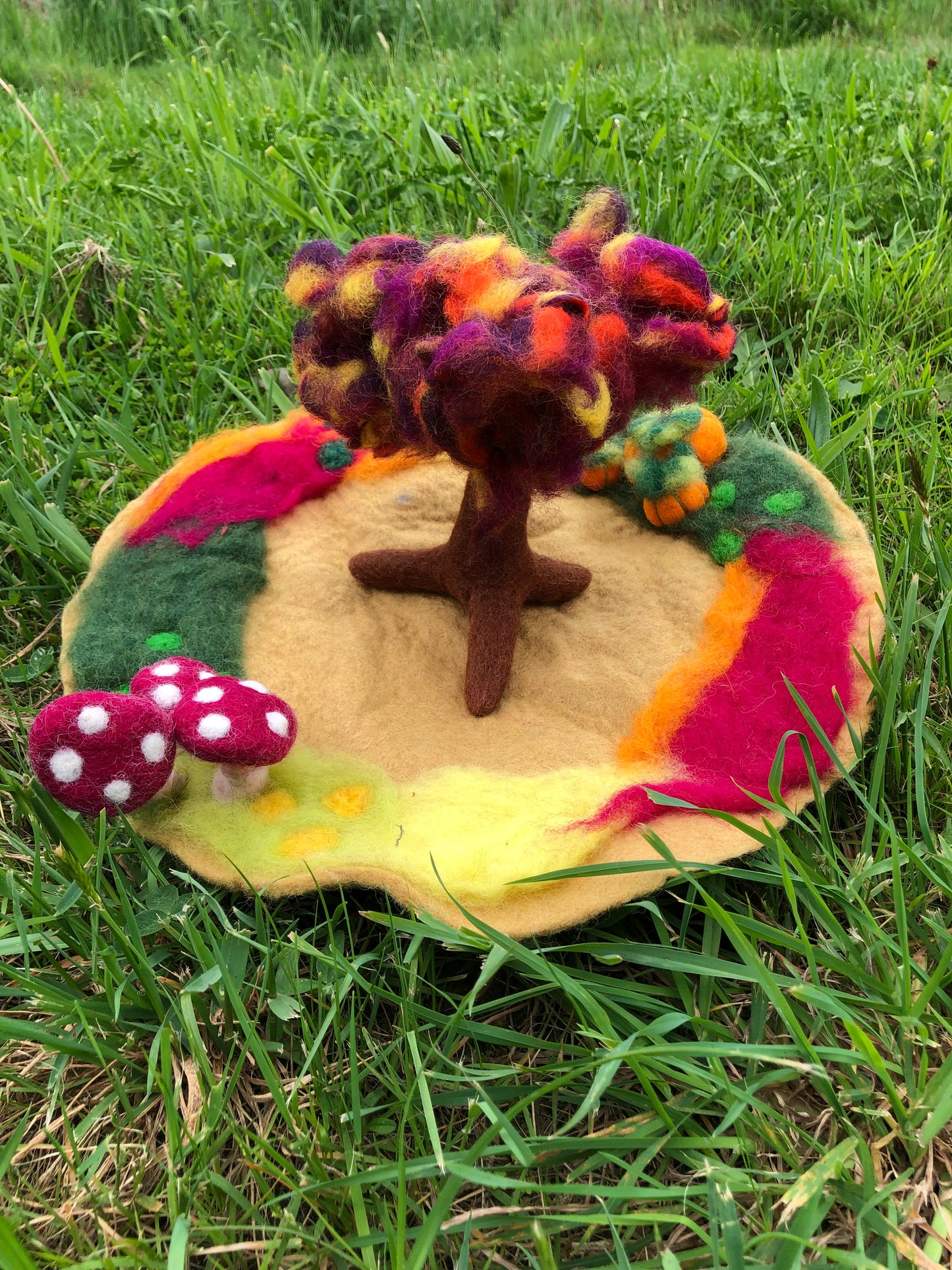 Autumn seasonal Tree