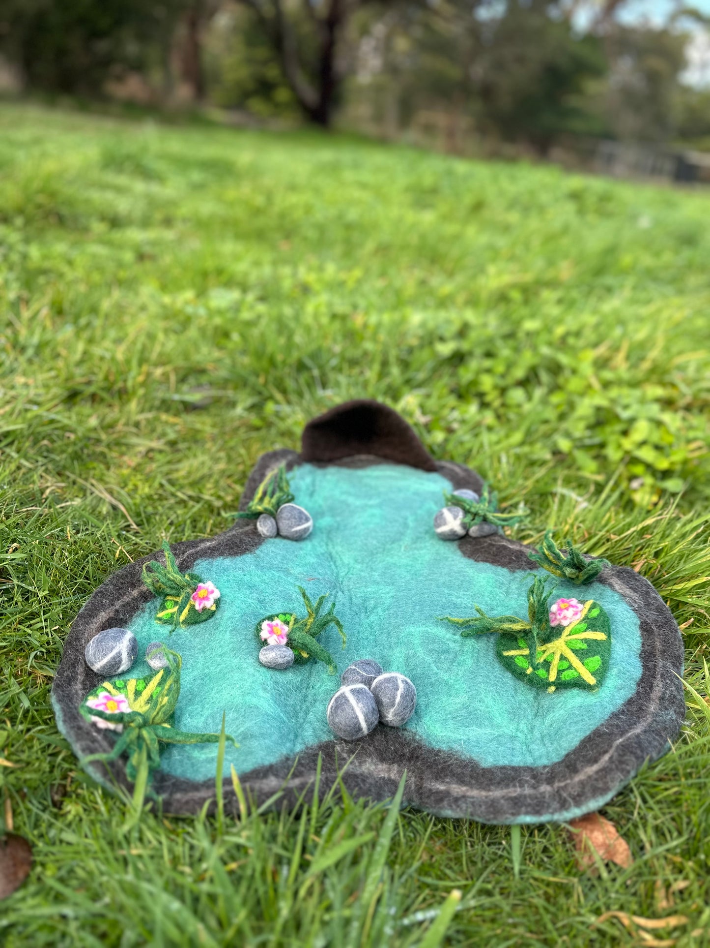 Lilly pond playscape