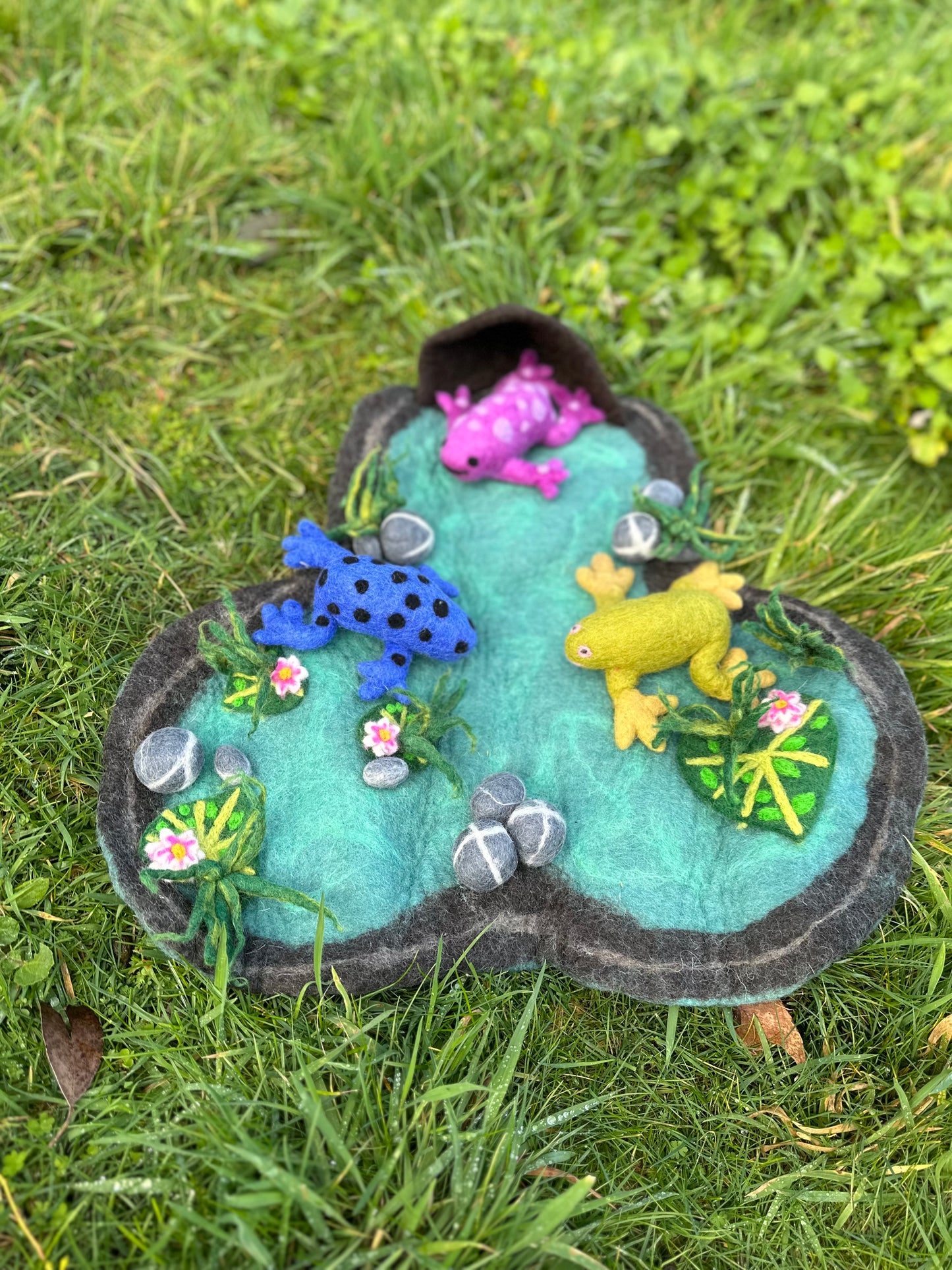 Lilly pond playscape