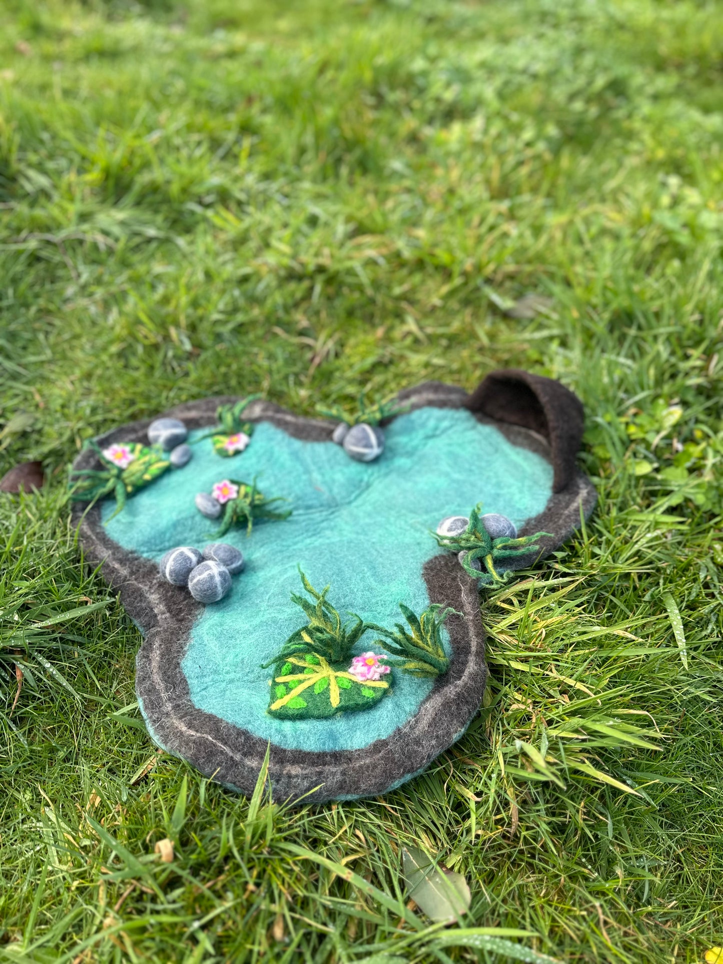 Lilly pond playscape