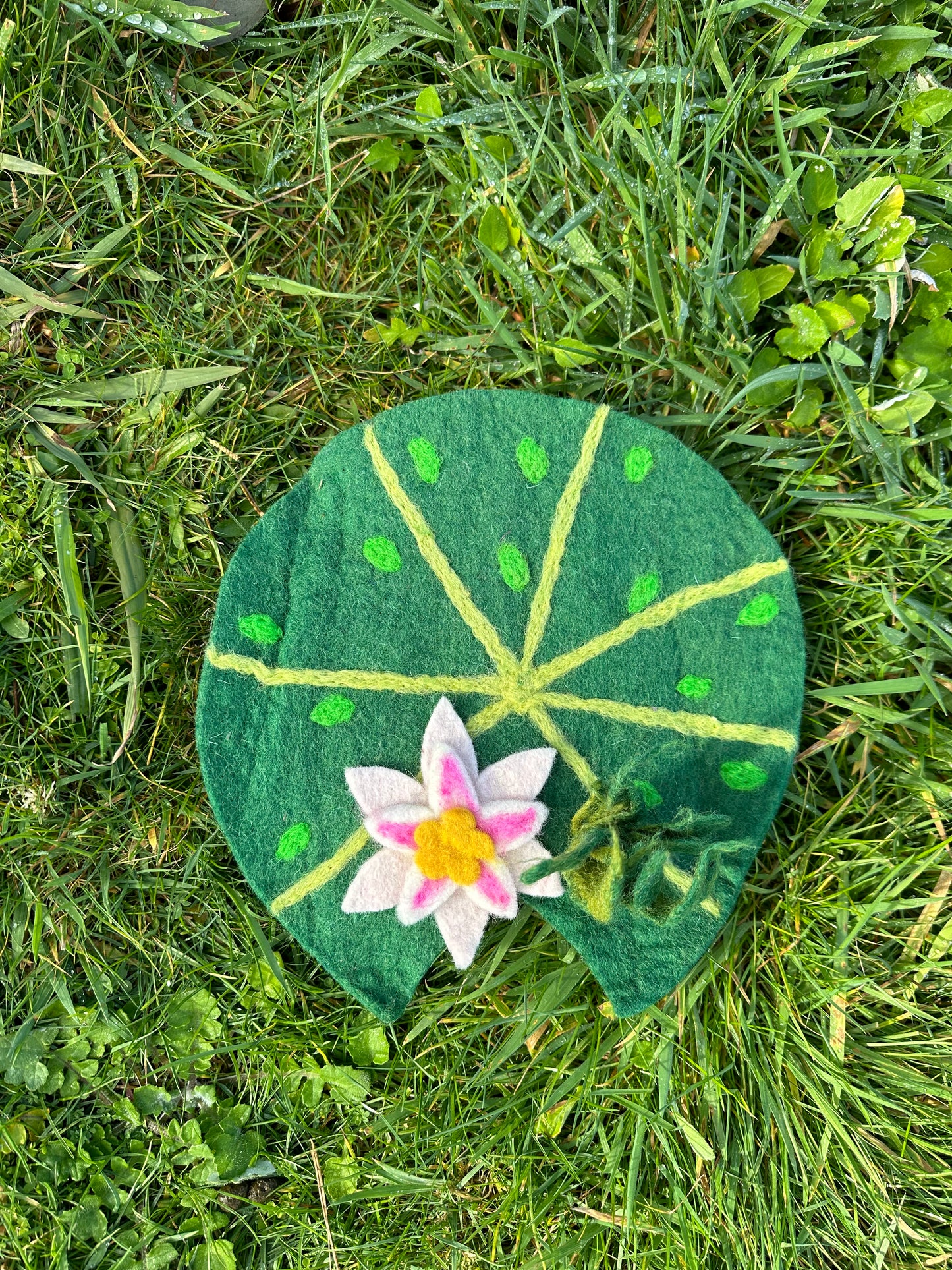 Lilly pad