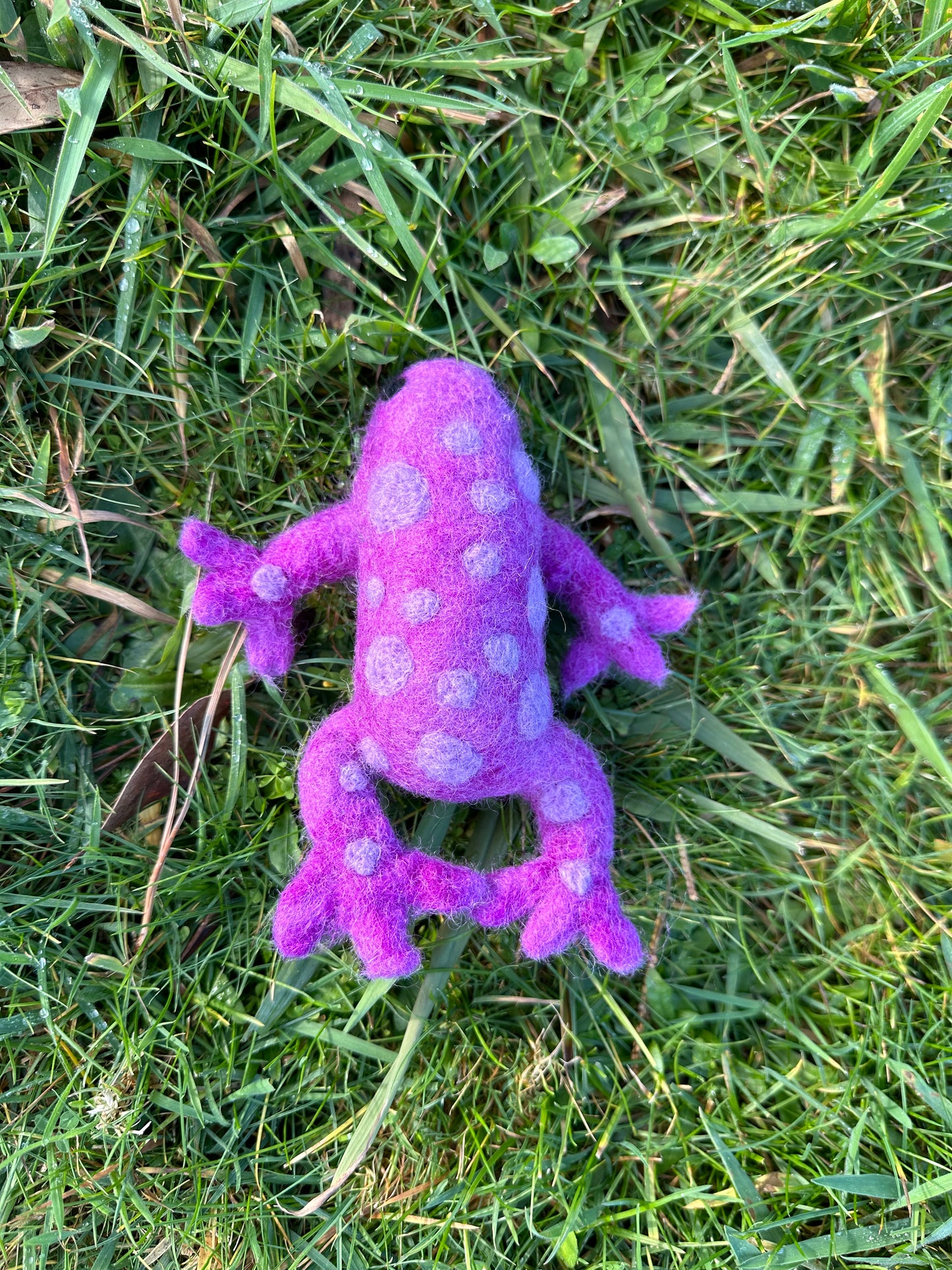 Magikal purple spotted frog