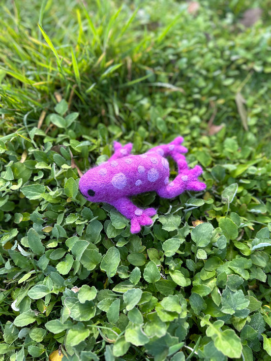Magikal purple spotted frog