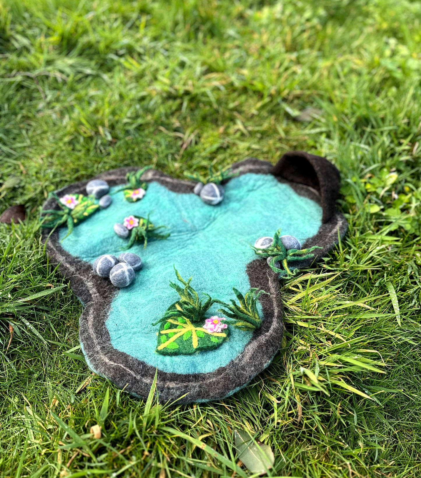 Lilly pond playscape