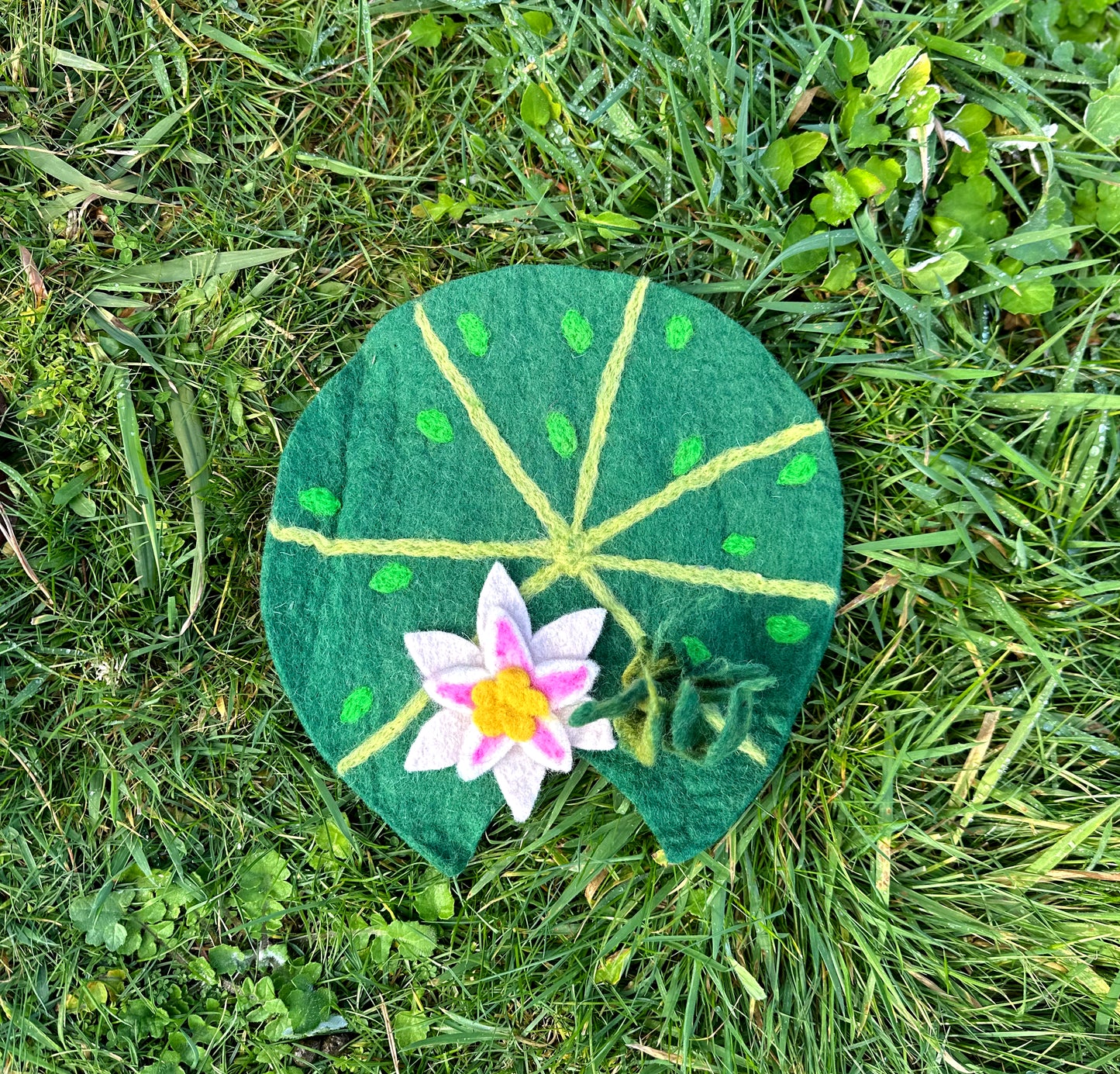 Lilly pad