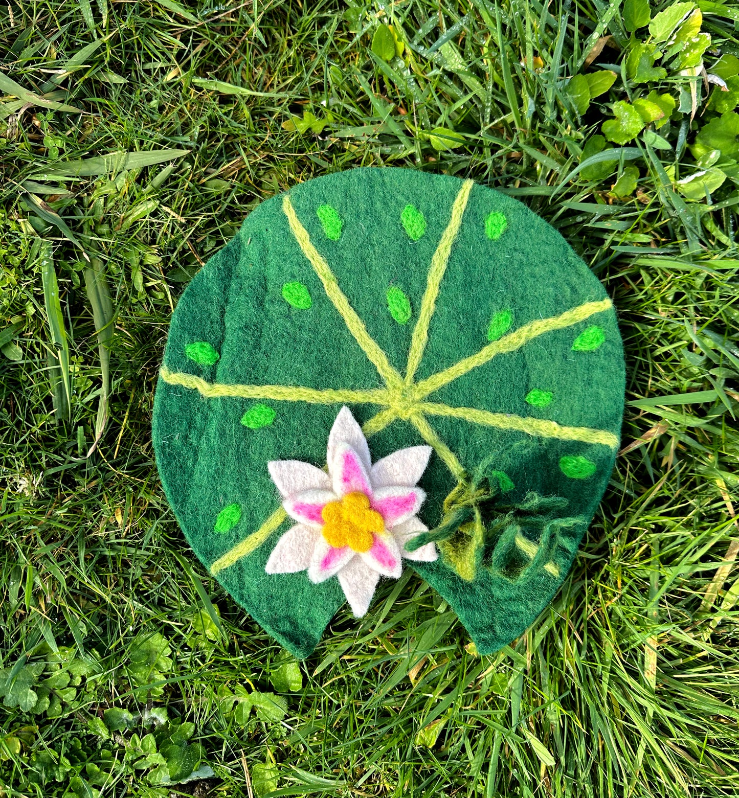 Lilly pad