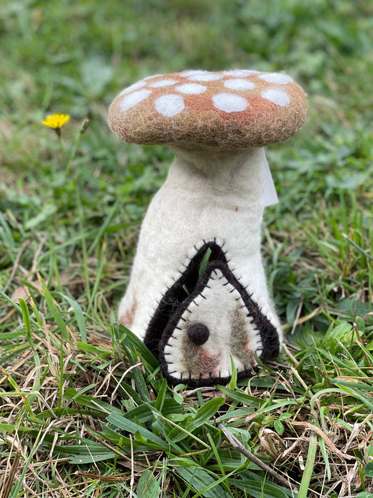 Toadstool house