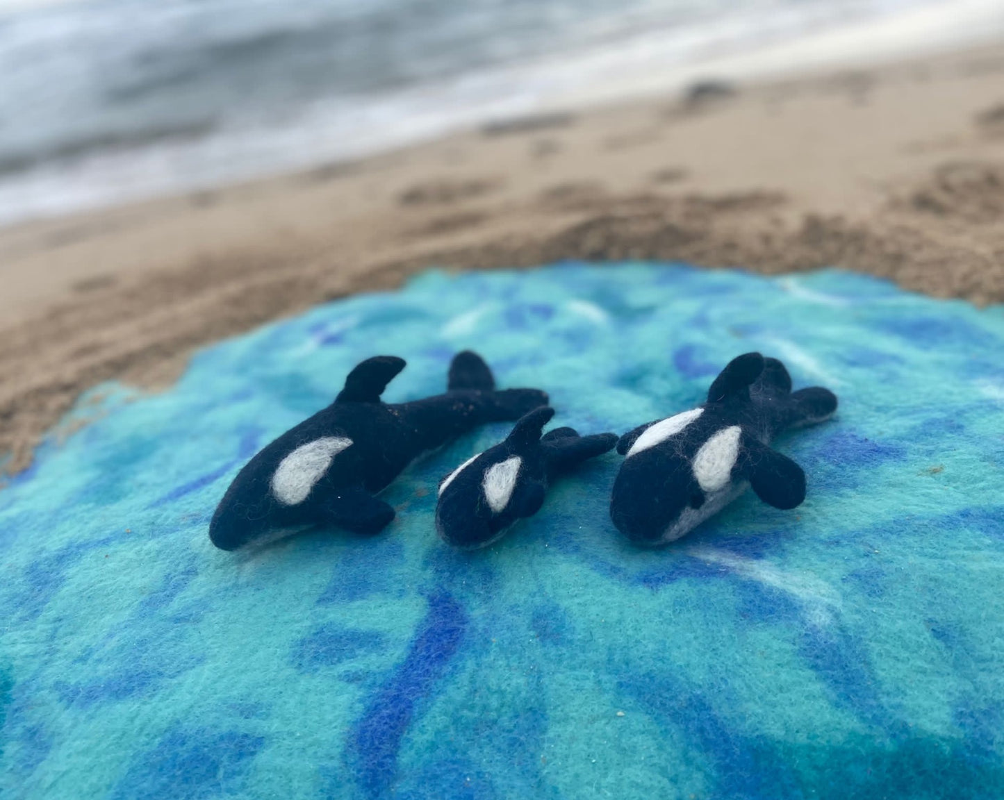 Orca pod of 3