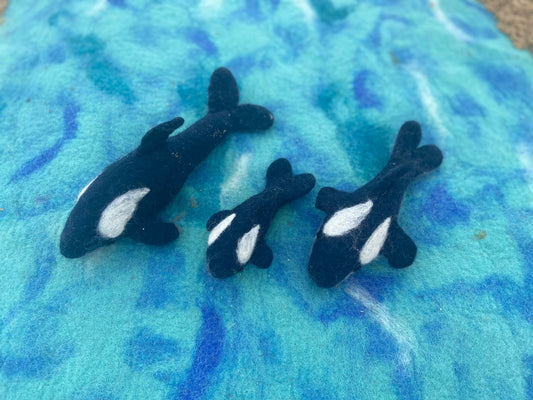 Orca pod of 3
