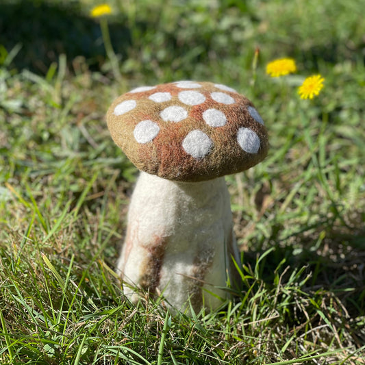 Toadstool large-earth