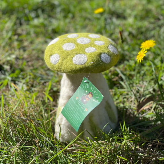 Toadstool large-mossy