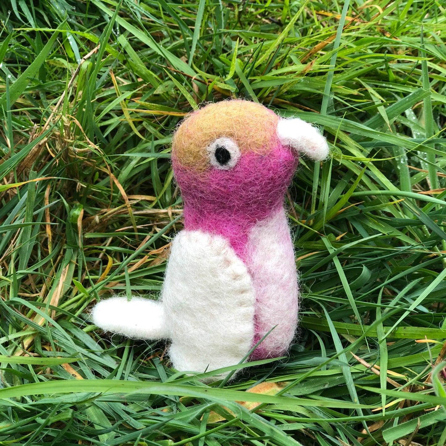 Galah finger puppet