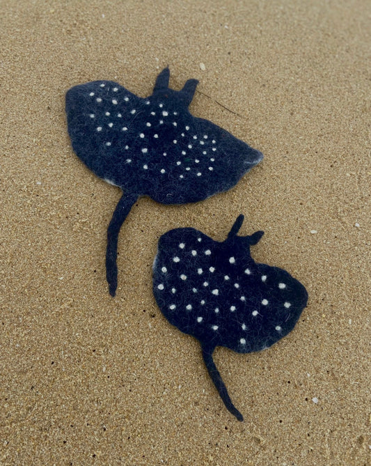 Mantaray pod of 2