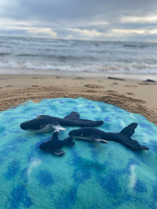 Humpback pod of 3