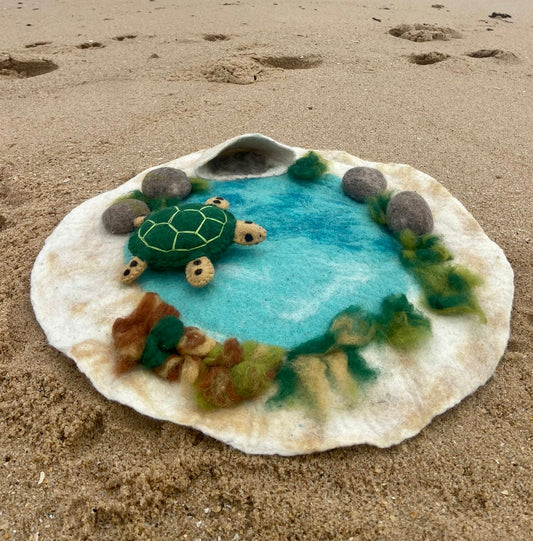 Rockpool play scape