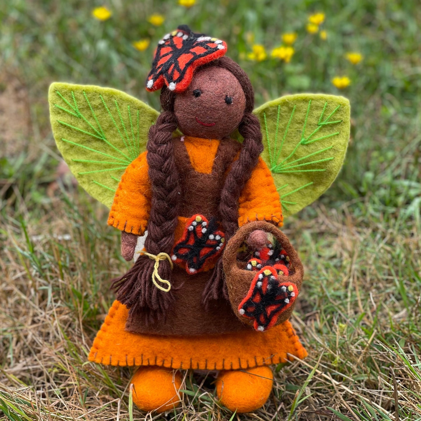 Pari the butterfly faery of the forest