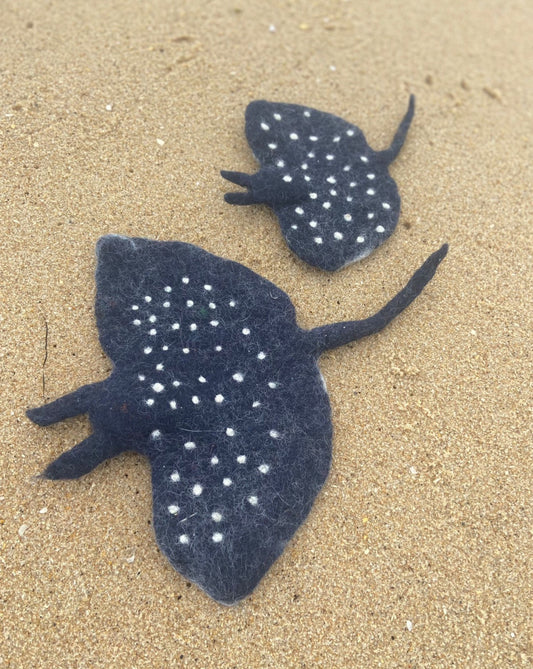 Mantaray pod of 2